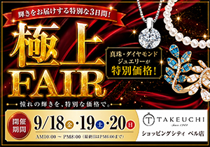 極上FAIR